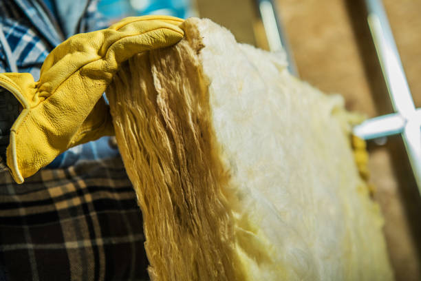 Best Eco-Friendly Insulation in Aitkin, MN